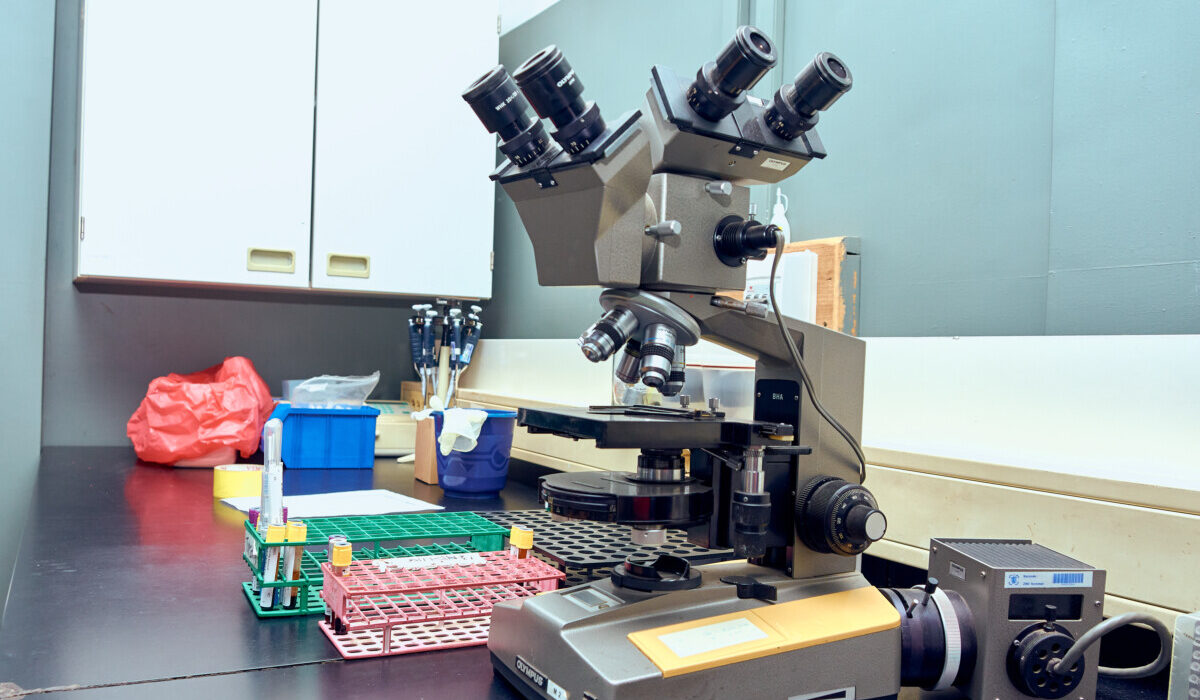 Histopathology and tissue analysis